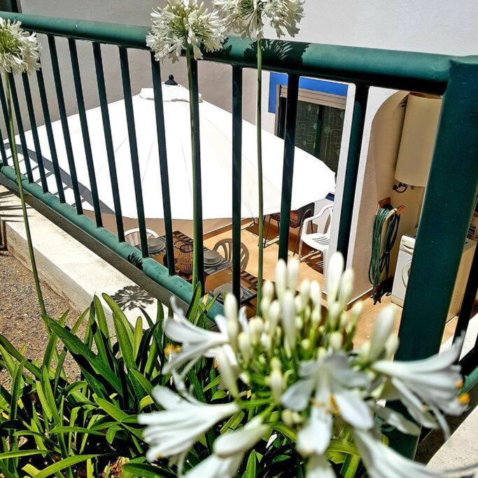 Apartamento Encantador A 100M Da Praia كارفويرو المظهر الخارجي الصورة