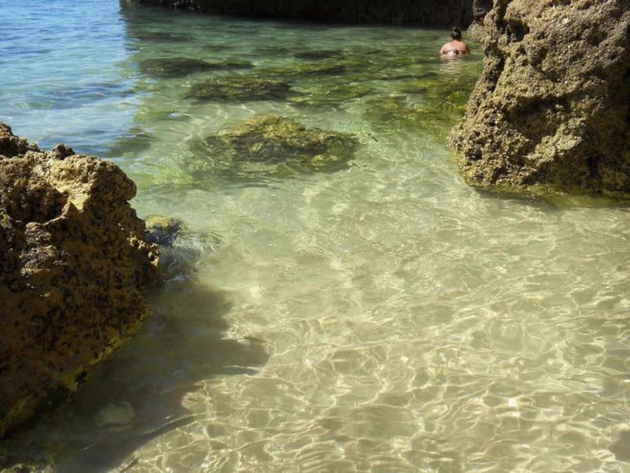 Apartamento Encantador A 100M Da Praia كارفويرو المظهر الخارجي الصورة